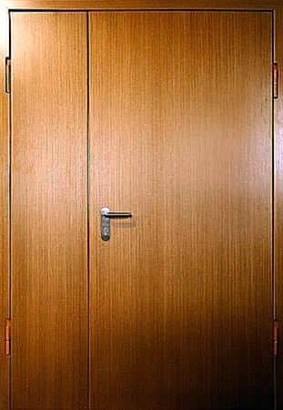 Противопожарная дверь FT-60-3