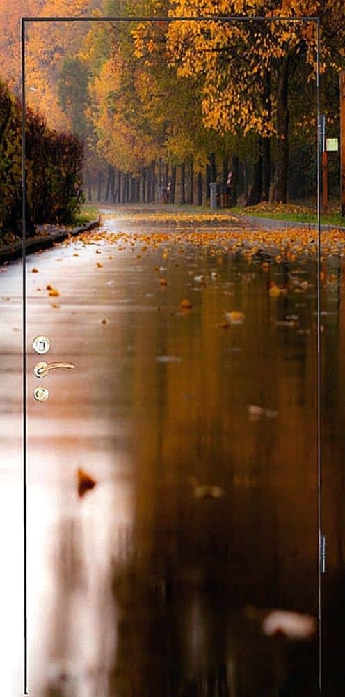 Входная дверь ZA-2 - снаружи