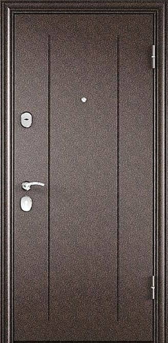 Наружная входная дверь с зеркалом AP-9 - снаружи