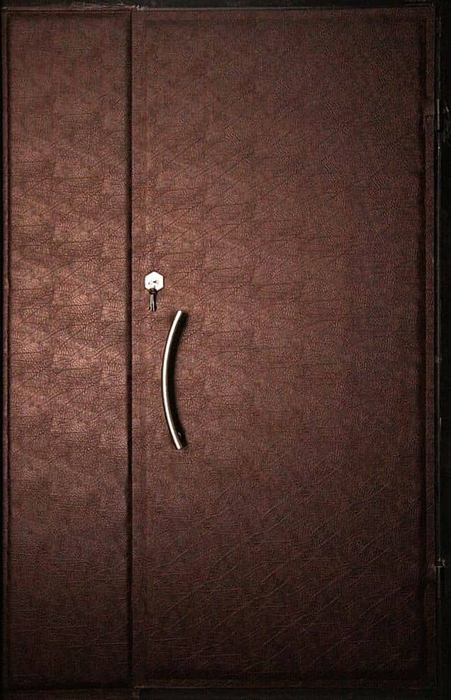 Тамбурная дверь CA-8